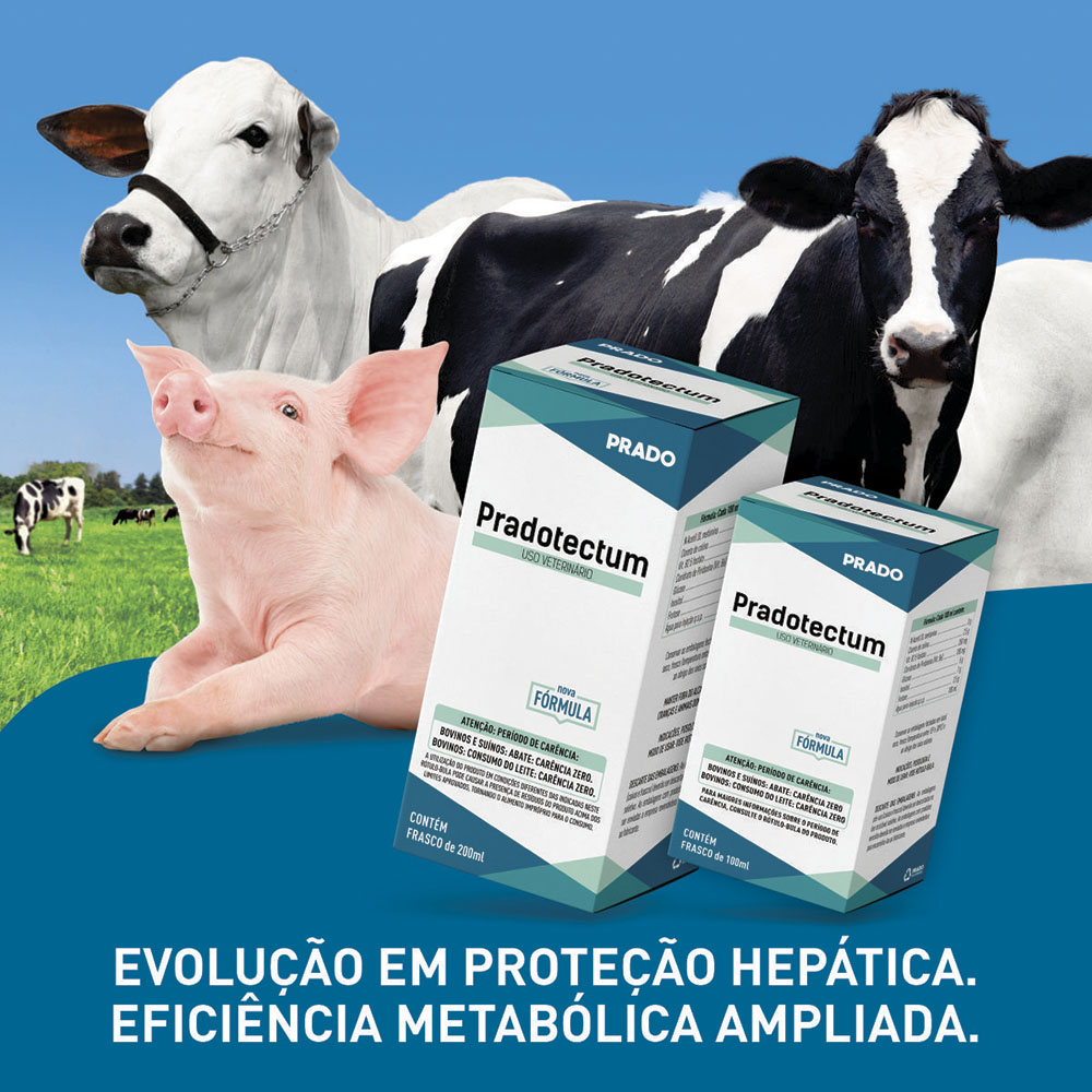 Pradotectum