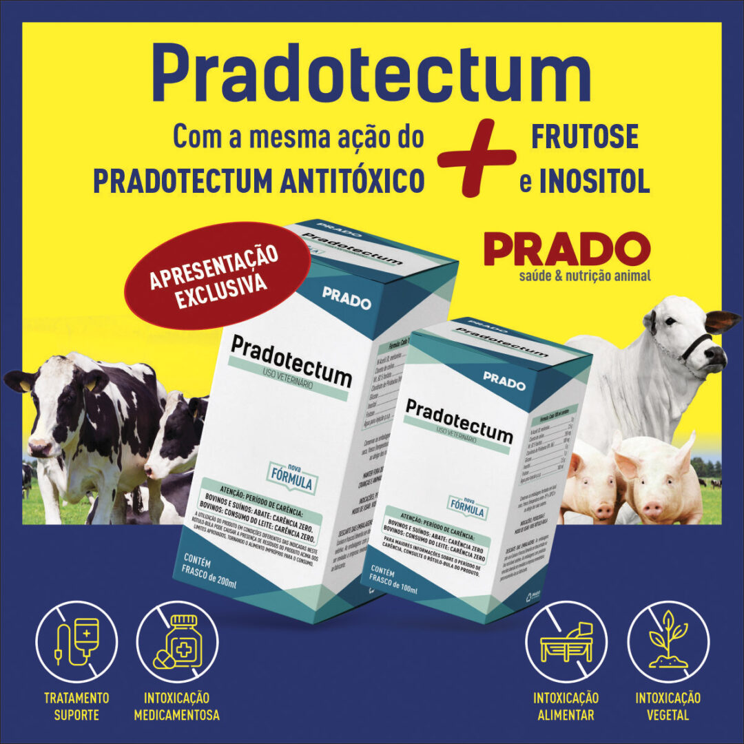 Pradotectum